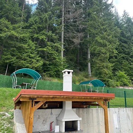 Gasthuis версай Sarnitsa